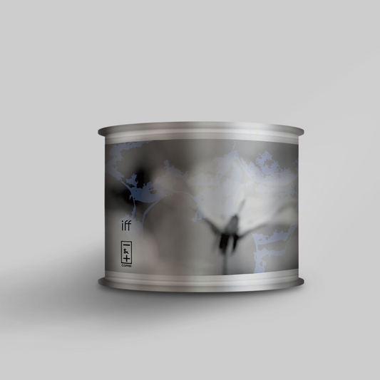Ethiopia｜Double Anaerobic Honey｜Alo｜Sky Project