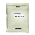 Salvador｜Natural｜Pacamara