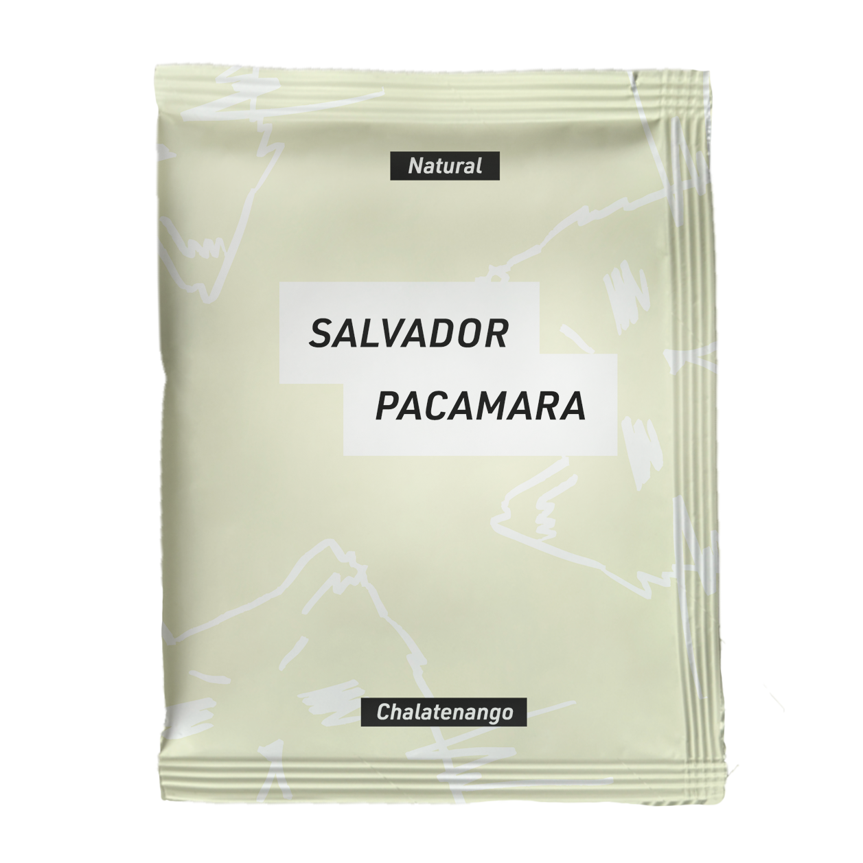 Salvador｜Natural｜Pacamara